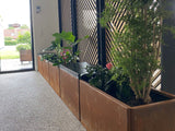 Plantekasse Cortenstål EDGY med 2 x top 388 x 40 x 40 cm